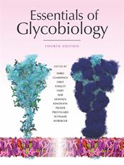 essentials-of-glycobiology-4th-edition.jpeg