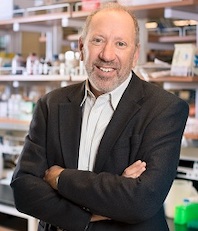 Richard L. Gallo, MD, PhD